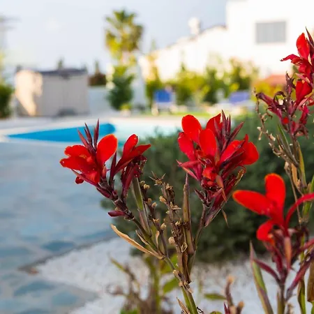 Luxury Sea View Near Konnos Beach *